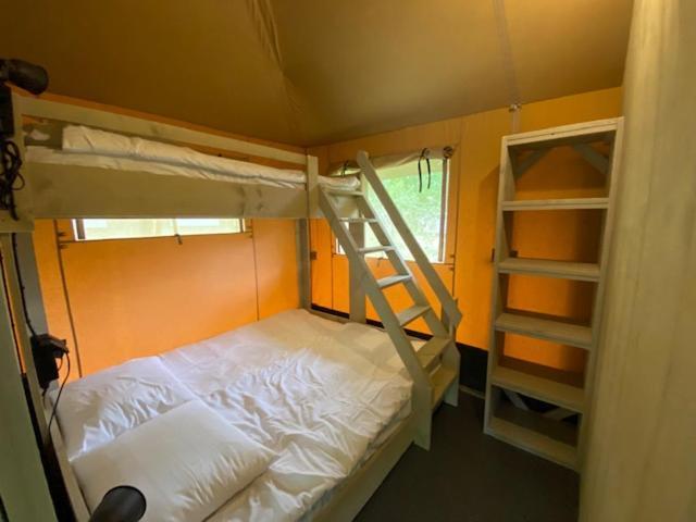Luxe Safaritent Medley 5 Persoons Op Camping Rijsterbos Екстериор снимка